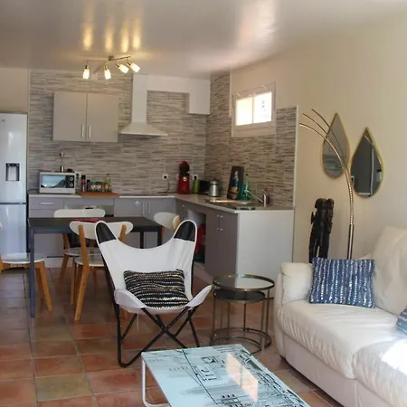 Elegante A Saint-raphael Avec Piscine Partagee 别墅