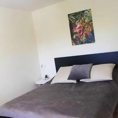 De 8 Avec Piscine Partagee Jardin Clos Et Wifi A Raphael Villa *